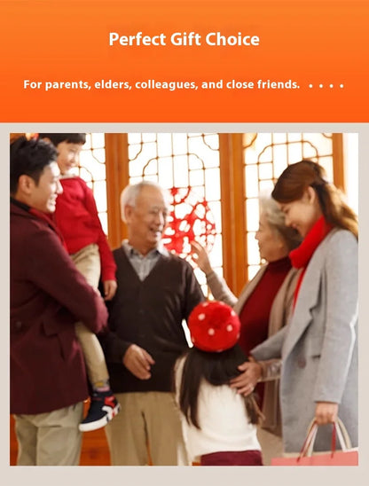 2025 New Heated Vest for Men 9 Heating Zones Dual Control Electric Warming Vest USB Smart Heating Waistcoat Ladies&